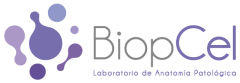 Logo_logo-1